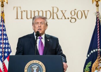 House Democrats introduce bill to remove Donald Trump via 25th Amendment