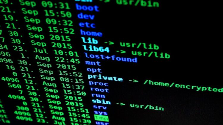 Man with Instagram handle 'ihackedthegovernment' bragged about hacking the government. It was real