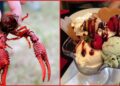 Texas shop puts a whole crawfish on ice cream and uses it as a spoon