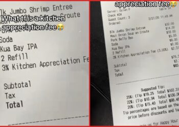 Woman gets a 'kitchen appreciation fee' on her Hawaii restaurant bill