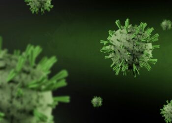 Hantavirus kills 3 on Dutch cruise ship — WHO says don't panic