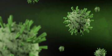 Hantavirus kills 3 on Dutch cruise ship — WHO says don't panic