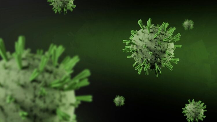 Hantavirus kills 3 on Dutch cruise ship — WHO says don't panic