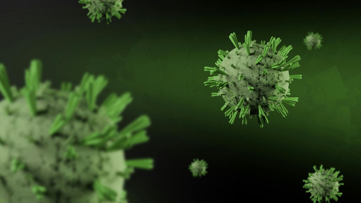 Hantavirus kills 3 on Dutch cruise ship — WHO says don't panic