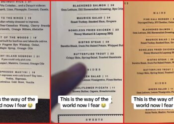 Detroit woman finds cocktail priced just below fried chicken on restaurant menu, calls it 'mildly horrifying' — stills from the TikTok posted by onlysalafans
