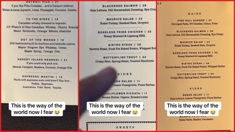 Detroit woman finds cocktail priced just below fried chicken on restaurant menu, calls it 'mildly horrifying' — stills from the TikTok posted by onlysalafans