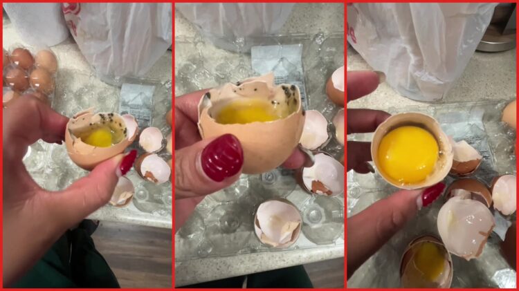 Texas woman cracks open two eggs from H-E-B carton and finds them full of black mold, so she showed the contrast — stills from the TikTok posted by marymamafit