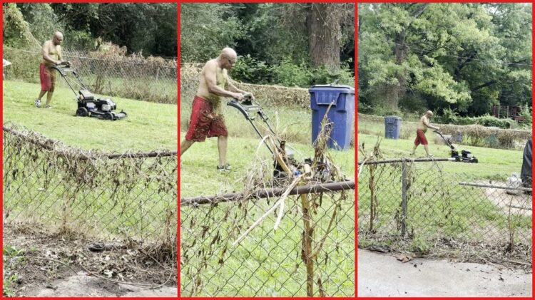 Property owners went to clean up a rental yard, so their neighbor got motivated and started mowing his own lawn — stills from the TikTok posted by C&T Properties