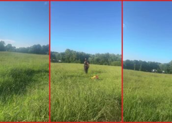 Greensboro woman says overgrown cemetery prevented her from reaching father's grave — stills from the TikTok posted by IntentionallyNicole