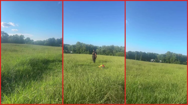 Greensboro woman says overgrown cemetery prevented her from reaching father's grave 1 Greensboro woman says overgrown cemetery prevented her from reaching father's grave — stills from the TikTok posted by IntentionallyNicole