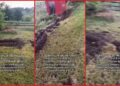 Lightning strike 'literally exploded' a woman's chicken coop, leaving a trench in the ground. Then she checked inside — stills from the TikTok posted by Jewel