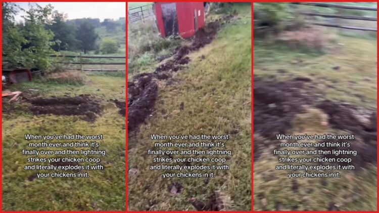 Lightning strike 'literally exploded' a woman's chicken coop, leaving a trench in the ground. Then she checked inside 1 Lightning strike 'literally exploded' a woman's chicken coop, leaving a trench in the ground. Then she checked inside — stills from the TikTok posted by Jewel