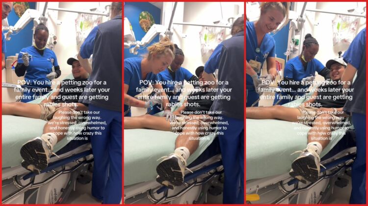Family hired a petting zoo for their event, so weeks later they're all getting rabies shots in the hospital 1 Family hired a petting zoo for their event, so weeks later they're all getting rabies shots in the hospital — stills from the TikTok posted by Taty’♥️