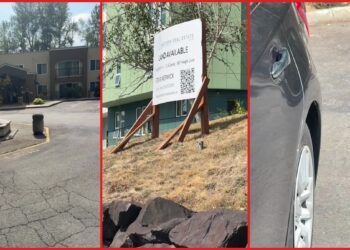 Seattle woman says man confronted her over parking across from condo, so she pointed to 'Land Available' sign — stills from the TikTok posted by iamlai.lane