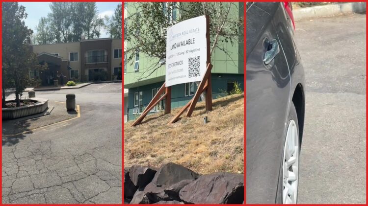 Seattle woman says man confronted her over parking across from condo, so she pointed to 'Land Available' sign 1 Seattle woman says man confronted her over parking across from condo, so she pointed to 'Land Available' sign — stills from the TikTok posted by iamlai.lane