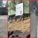 Seattle woman says man confronted her over parking across from condo, so she pointed to 'Land Available' sign 8 Seattle woman says man confronted her over parking across from condo, so she pointed to 'Land Available' sign — stills from the TikTok posted by iamlai.lane