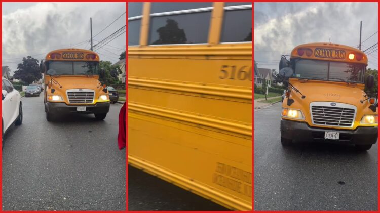 Driver complains school bus blocked road and refused to pull over, claims bus driver was a bully, according to video — stills from the TikTok posted by Straight-from-yard