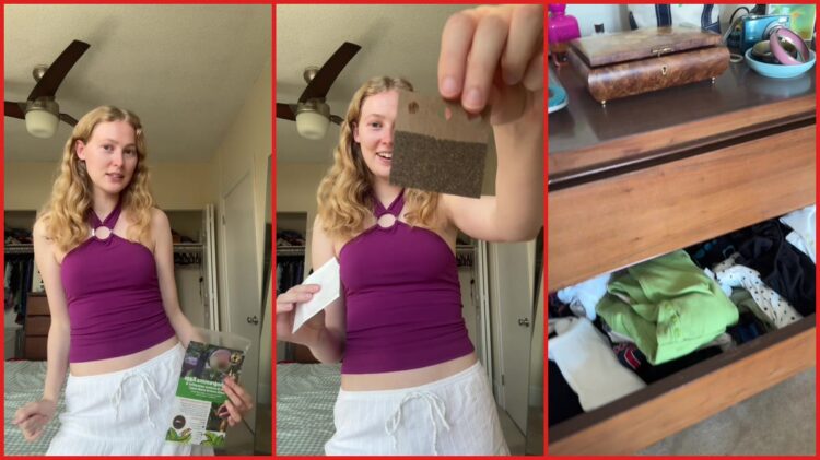 Woman releases 10,000 parasitic wasps into her closet after moths ate her Taylor Swift dress — stills from the TikTok posted by julia