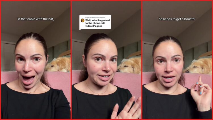 Woman finds bat in her Vrbo rental bedroom. Then the host told her, 'Bats are to be expected' and allegedly refused a refund — stills from the TikTok posted by adriaaaaahhhh