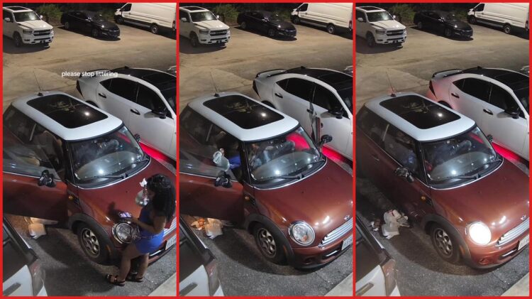 Woman in blue dress littered from a red Mini Cooper in a South Fulton parking lot, so a nearby car pleaded with her to stop 1 Woman in blue dress littered from a red Mini Cooper in a South Fulton parking lot, so a nearby car pleaded with her to stop — stills from the TikTok posted by danny
