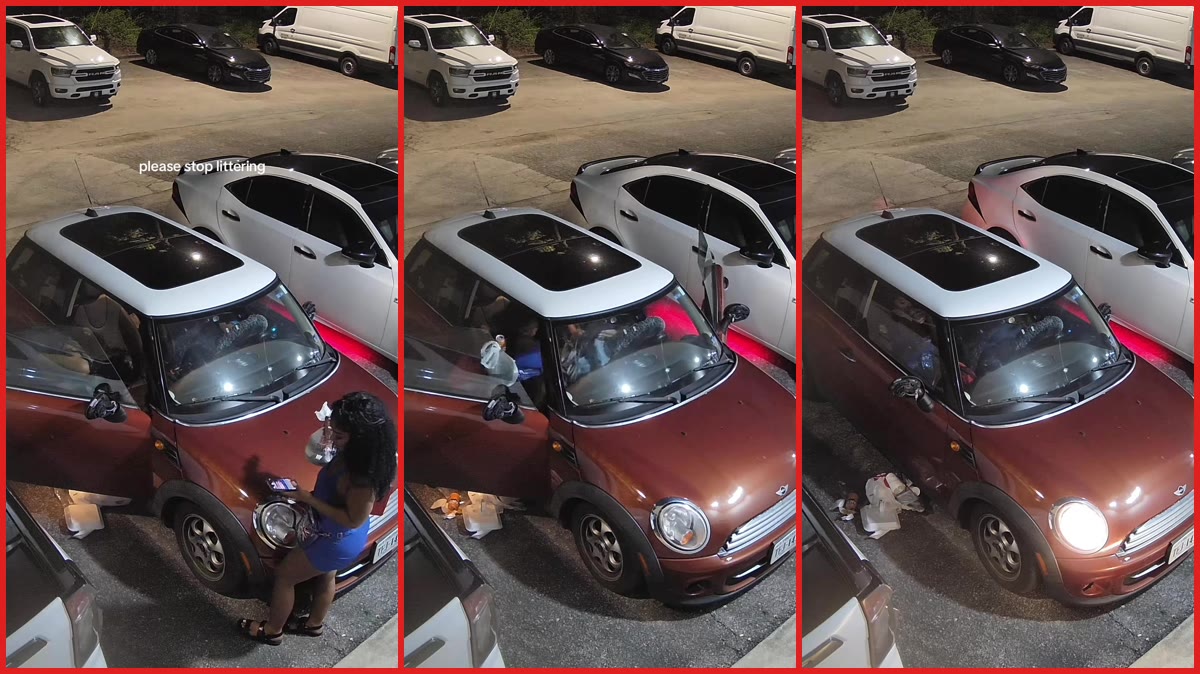 Woman in blue dress littered from a red Mini Cooper in a South Fulton parking lot, so a nearby car pleaded with her to stop — stills from the TikTok posted by danny