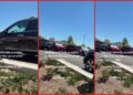 Person filming says they called police on a woman who left kids in a hot car, but she drove away before officers arrived 9 Person filming says they called police on a woman who left kids in a hot car, but she drove away before officers arrived — stills from the TikTok posted by user69638802132