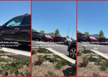 Person filming says they called police on a woman who left kids in a hot car, but she drove away before officers arrived — stills from the TikTok posted by user69638802132