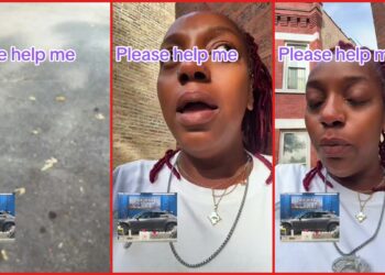 Chicago woman's car was stolen with her 15-year-old son's ashes inside. Then she pleaded for the return of his remains — stills from the TikTok posted by krystelethemuva