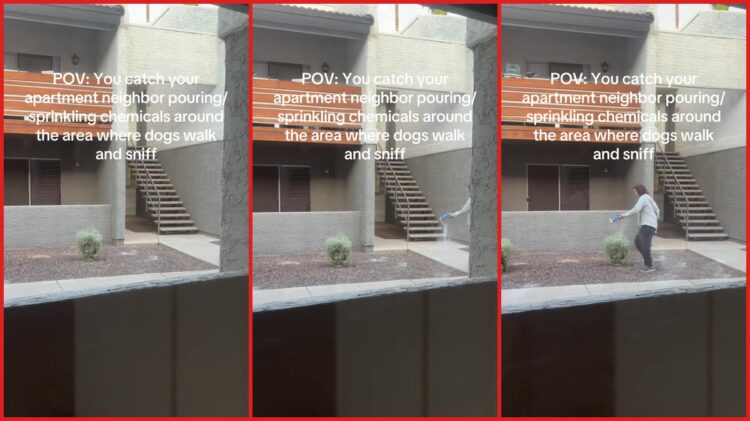Phoenix apartment resident records neighbor sprinkling chemicals in dog-walking area. Then the neighbor looks directly at the camera — stills from the TikTok posted by Mia