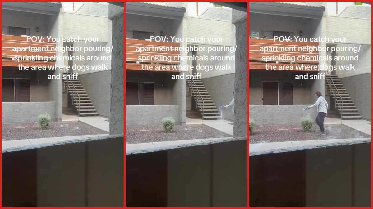 Phoenix apartment resident records neighbor sprinkling chemicals in dog-walking area. Then the neighbor looks directly at the camera — stills from the TikTok posted by Mia