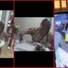 St. Louis woman attended a cosmetic surgery grand opening, then security footage video shows her taking a gift 8 St. Louis woman attended a cosmetic surgery grand opening, then security footage video shows her taking a gift — stills from the TikTok posted by Willis Cosmetic Surgery