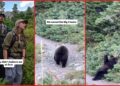 Hikers asked to see wildlife in Glacier National Park. Then a grizzly bear appeared and rolled around on the trail 9 Hikers asked to see wildlife in Glacier National Park. Then a grizzly bear appeared and rolled around on the trail — stills from the TikTok posted by hikewjesus
