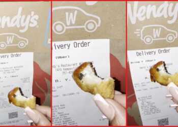 TikTok user says she found a fly inside a Wendy's chicken nugget after eating two: 'Oh my God, oh my God' — stills from the TikTok posted by Brina 🩷