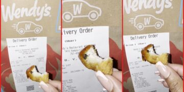 TikTok user says she found a fly inside a Wendy's chicken nugget after eating two: 'Oh my God, oh my God' 2 TikTok user says she found a fly inside a Wendy's chicken nugget after eating two: 'Oh my God, oh my God' — stills from the TikTok posted by Brina 🩷