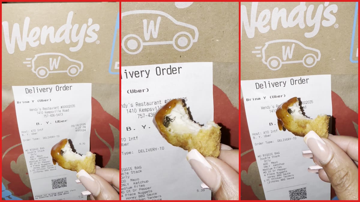 TikTok user says she found a fly inside a Wendy's chicken nugget after eating two: 'Oh my God, oh my God' — stills from the TikTok posted by Brina 🩷