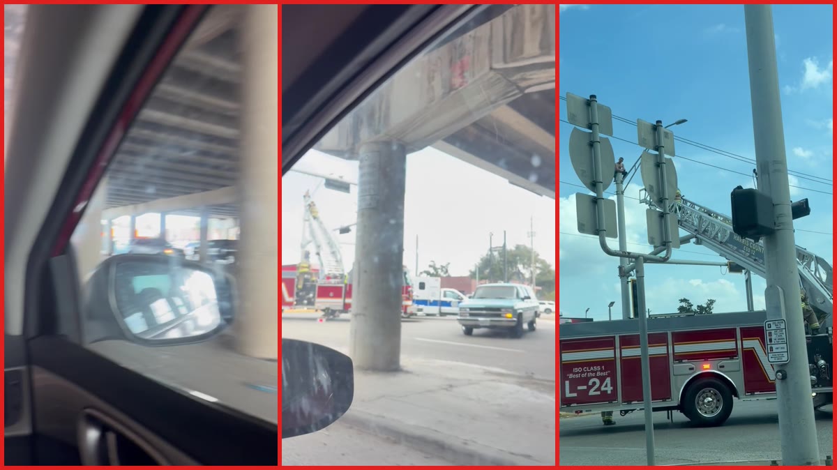 Person stranded atop traffic light pole brought down by Houston firefighters on ladder truck — stills from the TikTok posted by Lisa Lee