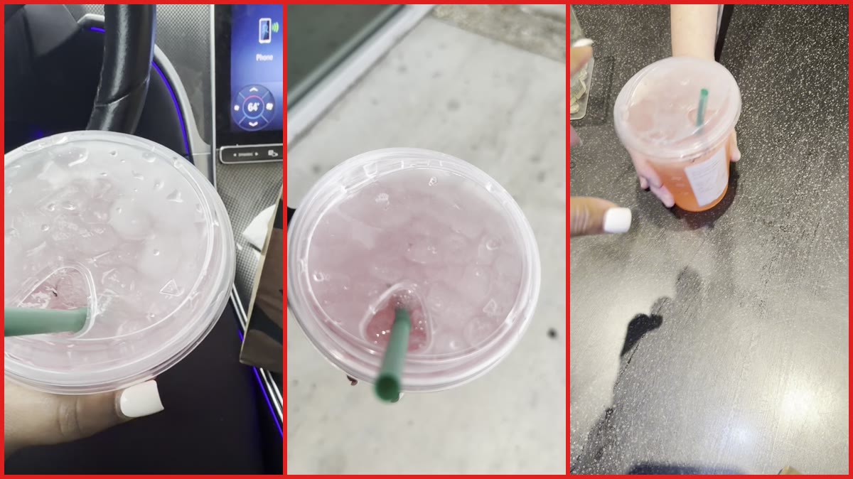 Florida customer finds live cockroach in Starbucks Strawberry Acai drink, employee in video appears to confirm it and offers refund — stills from the TikTok posted by wooladytv