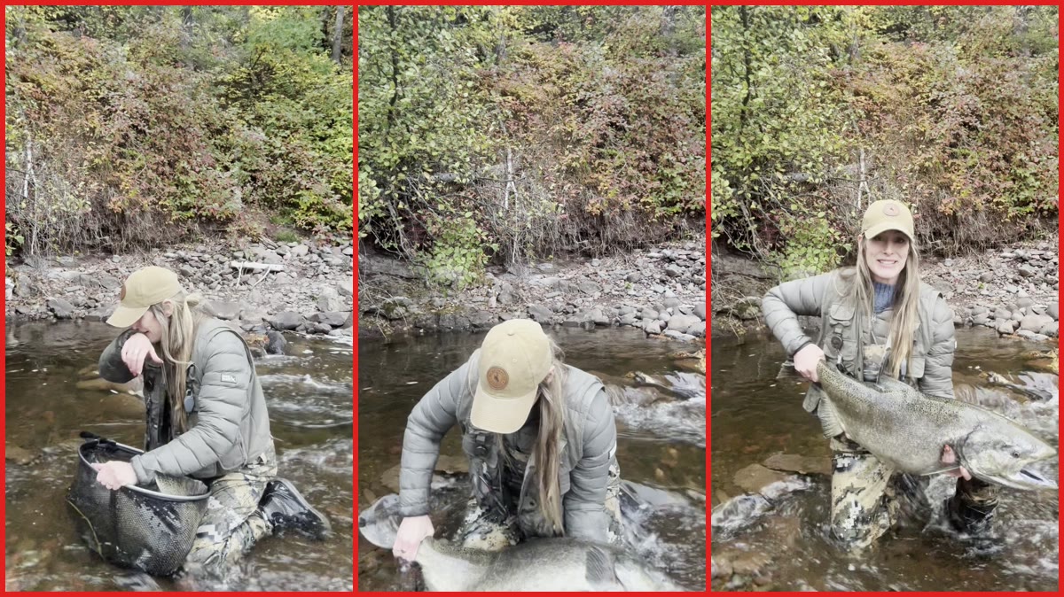 Angler fights massive salmon for two hours, calls it 'the biggest fish' and releases it back into the river — stills from the TikTok posted by EmilyJean0901